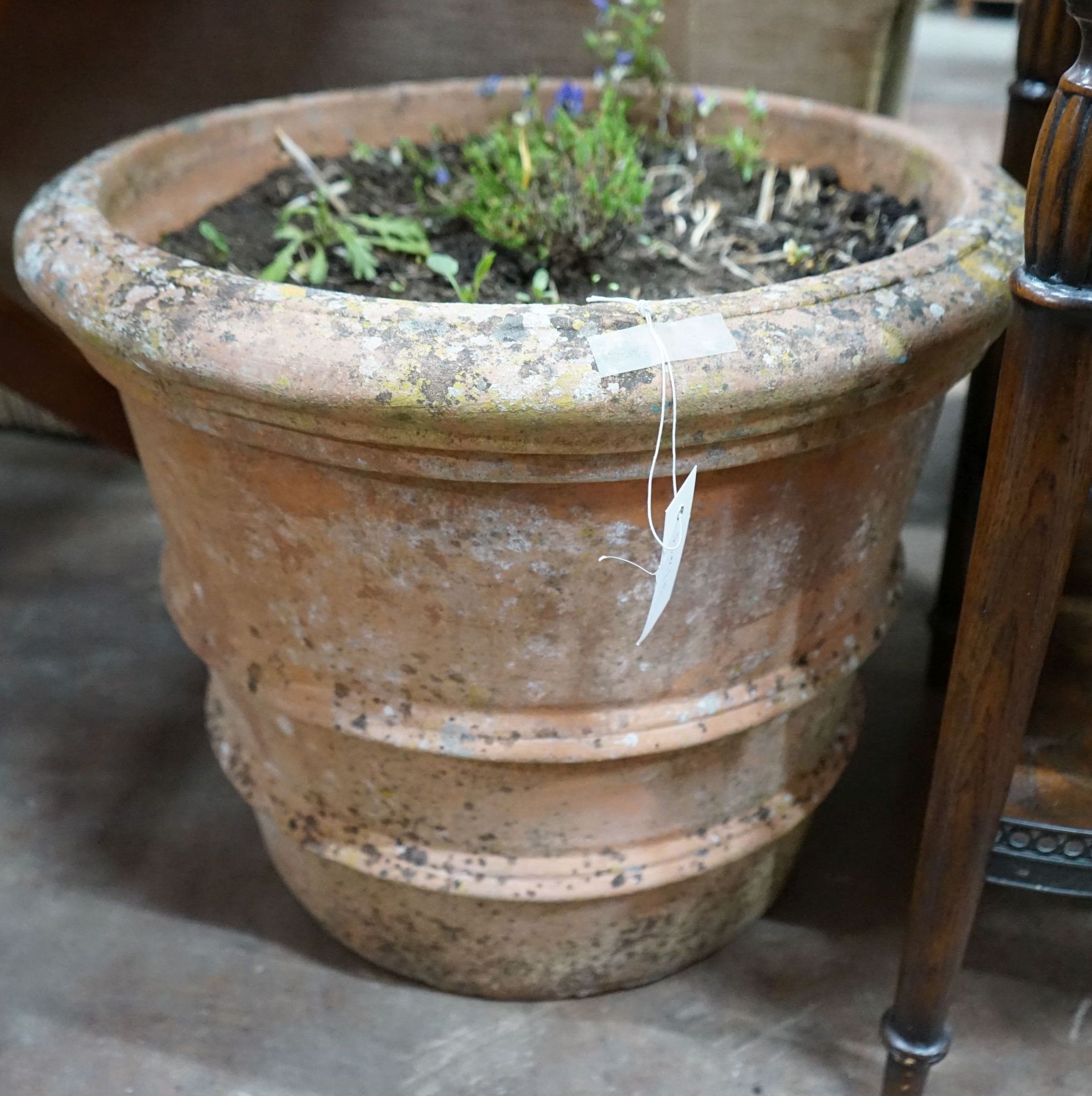 A circular terracotta garden planter, diameter 56cm, height 44cm